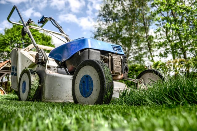 Lawn Maintenance & Cleanups